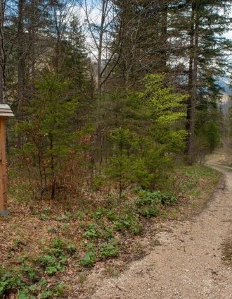 Informationen | Tourismusverband Gesäuse | © TV Gesäuse