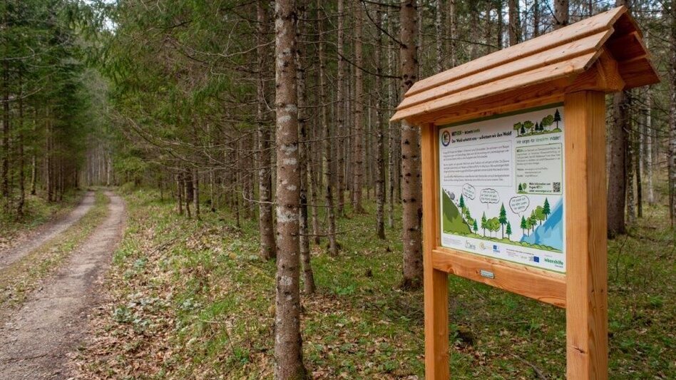 Themen- und Lehrpfad Klimafitter Wald - Gams - Touren-Impression #2.3 | © TV Gesäuse