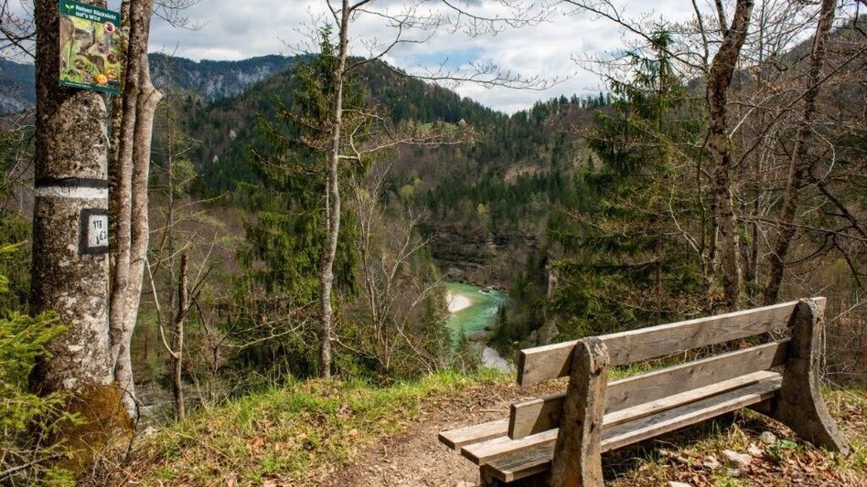 Themen- und Lehrpfad Klimafitter Wald - Gams - Touren-Impression #2.5 | © TV Gesäuse