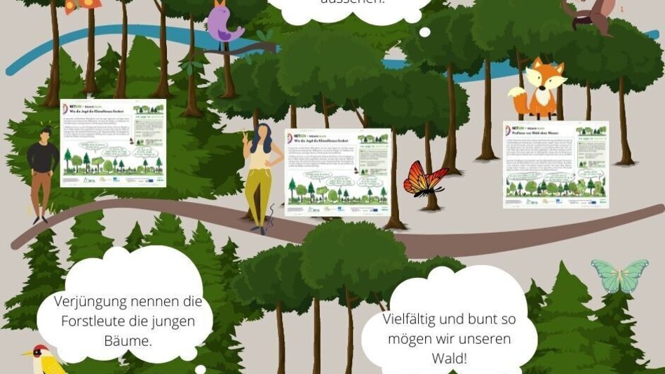 Themen- und Lehrpfad Klimafitter Wald - Gams - Touren-Impression #2.10 | © TV Gesäuse