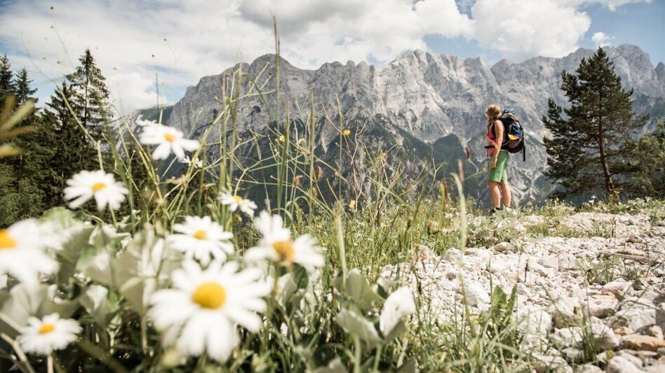 Bergtour Buchsteinhaus  Normalweg - Touren-Impression #2.8 | © TV Gesäuse