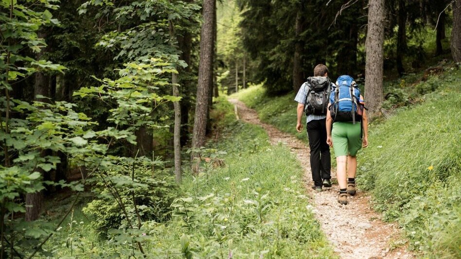 Bergtour Buchsteinhaus  Normalweg - Touren-Impression #2.9 | © TV Gesäuse