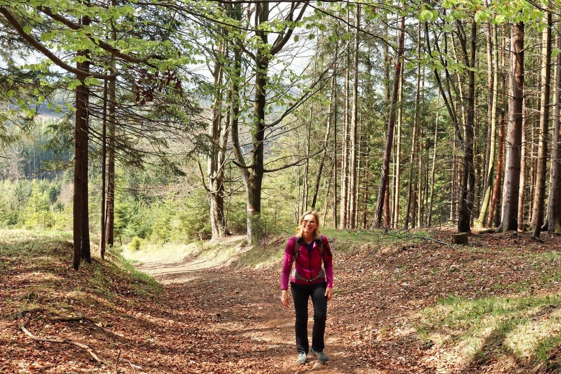 Hiking route Himberger Eck - Touren-Impression #1 | © Tourismusverband ERZBERG LEOBEN