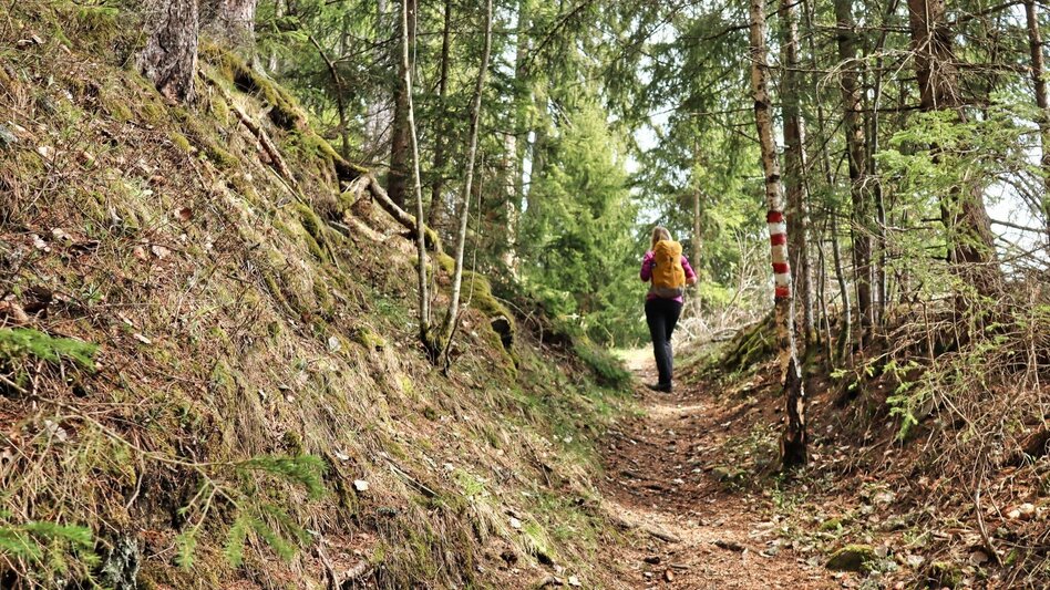 Hiking route Himberger Eck - Touren-Impression #2.3 | © Tourismusverband ERZBERG LEOBEN