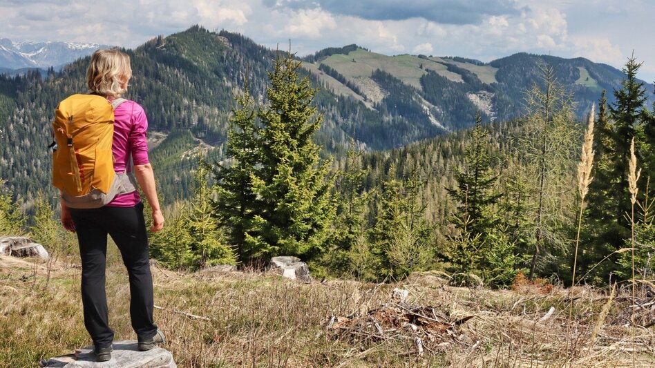 Hiking route Himberger Eck - Touren-Impression #2.7 | © Tourismusverband ERZBERG LEOBEN