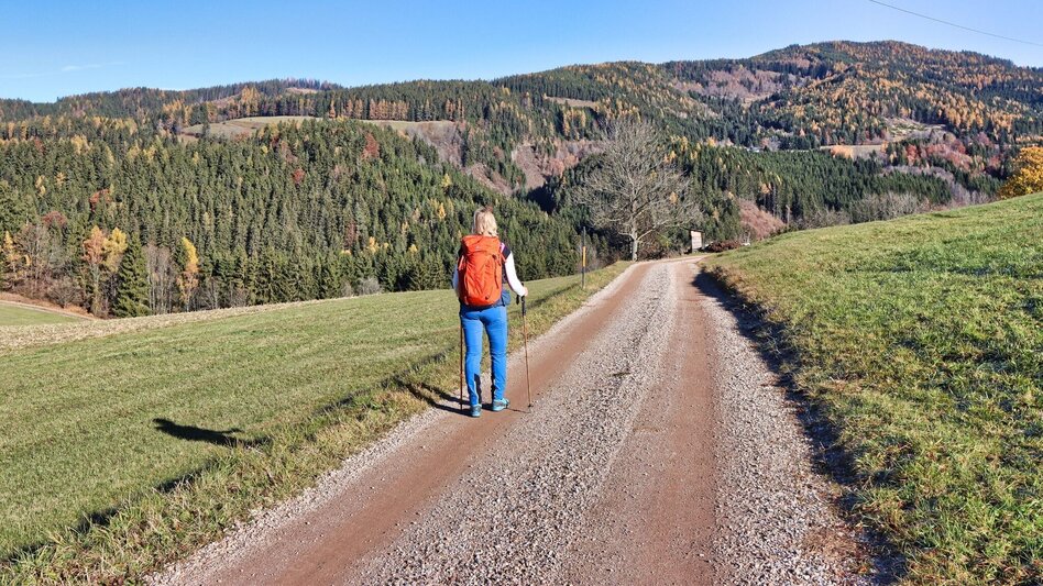 Hiking route Himberger Eck - Touren-Impression #2.10 | © Tourismusverband ERZBERG LEOBEN