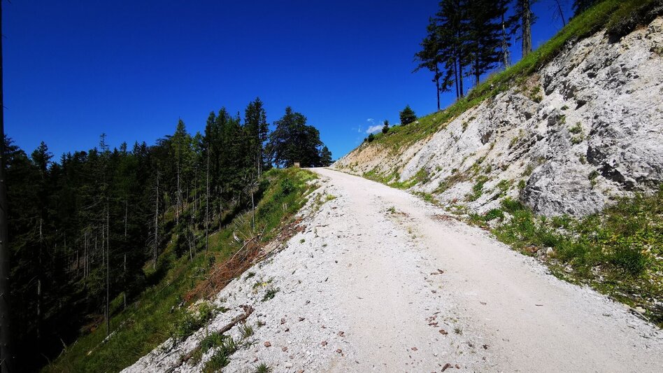 Mountain Biking Sonneck-Round - Touren-Impression #2.6 | © TV Hochsteiermark