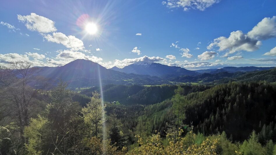 Mountain Biking Sonneck-Round - Touren-Impression #2.8 | © TV Hochsteiermark