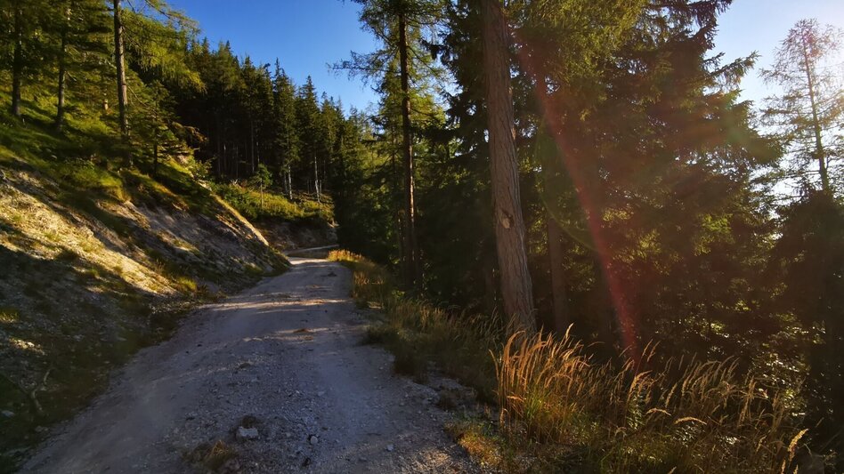 Mountain Biking Sonneck-Round - Touren-Impression #2.9 | © TV Hochsteiermark