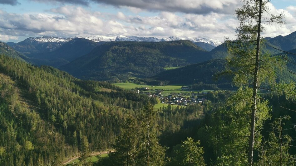 Mountain Biking Sonneck-Round - Touren-Impression #2.10 | © TV Hochsteiermark