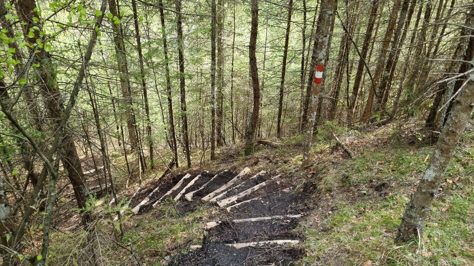 Wanderung Schnellabstieg Falkenstein Klettersteig im Naturpark Mürzer Oberland - Touren-Impression #2.1 | © TV Hochsteiermark