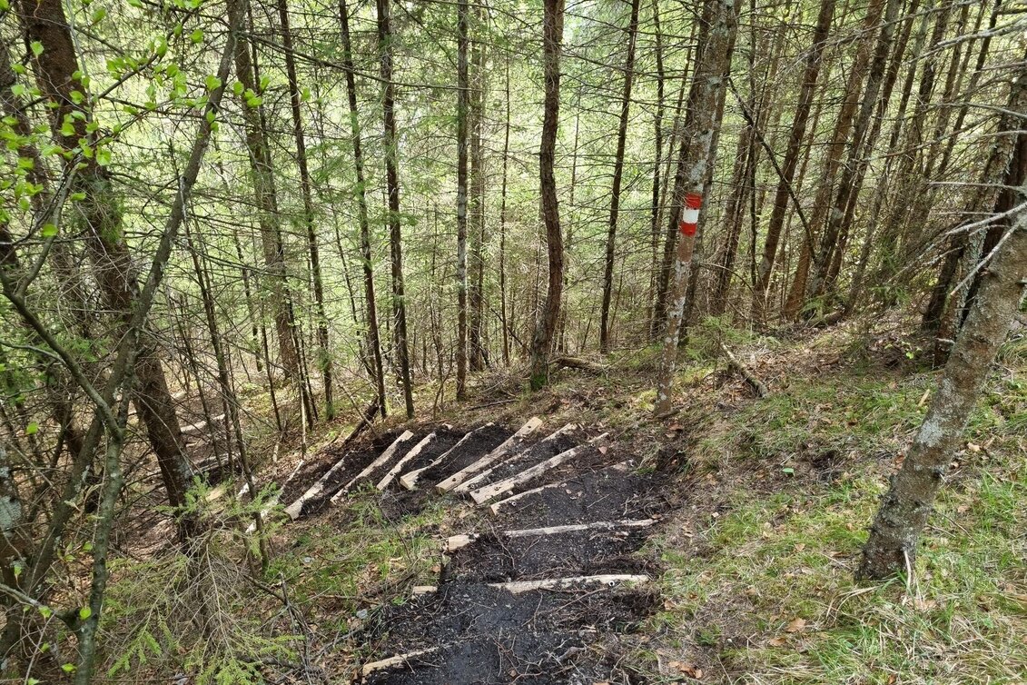 Wanderung Schnellabstieg Falkenstein Klettersteig im Naturpark Mürzer Oberland - Touren-Impression #1 | © TV Hochsteiermark