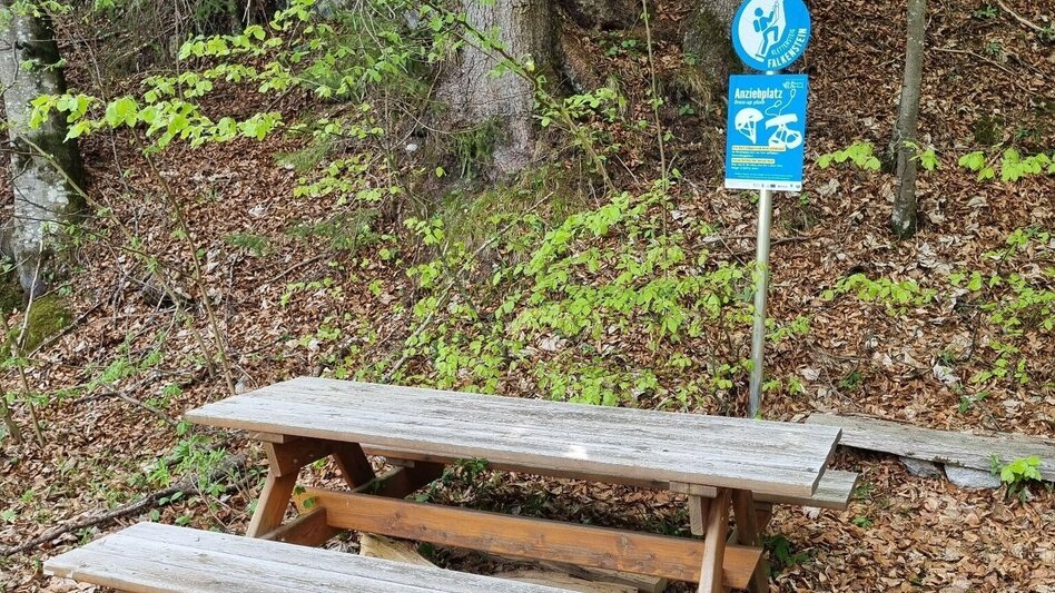 Wanderung Schnellabstieg Falkenstein Klettersteig im Naturpark Mürzer Oberland - Touren-Impression #2.4 | © TV Hochsteiermark