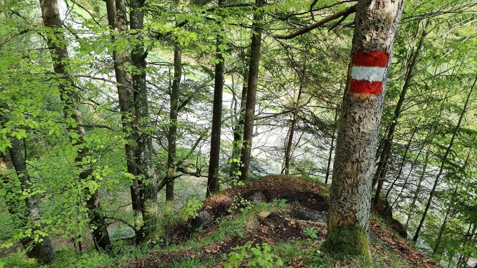 Wanderung Schnellabstieg Falkenstein Klettersteig im Naturpark Mürzer Oberland - Touren-Impression #2.5 | © TV Hochsteiermark