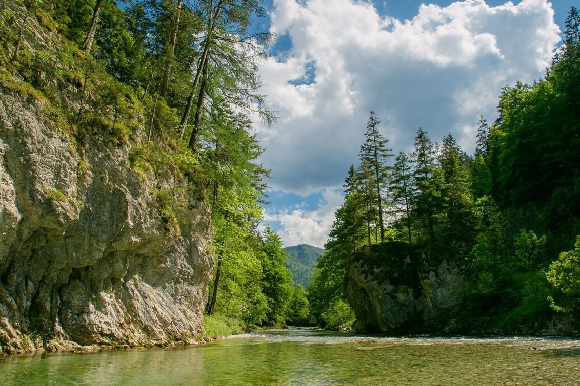 Wanderung Wanderung auf die Falkensteinalm im Naturpark Mürzer Oberland - Touren-Impression #1 | © Naturpark Mürzer Oberland