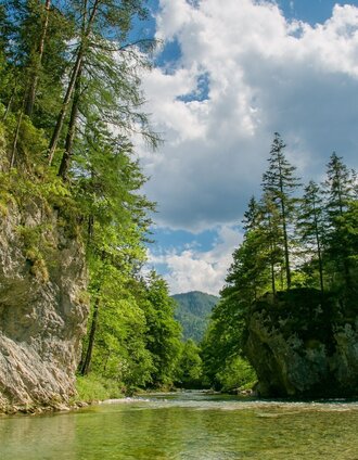 Fliegenfischen im Naturpark Mürzer Oberland | nicoleseiser.at | © Naturpark Mürzer Oberland