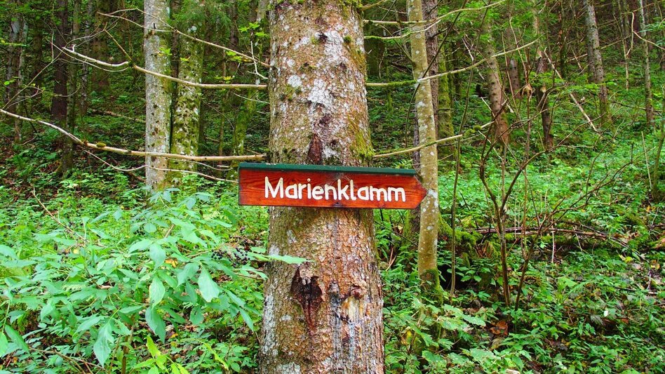 Hiking route Marienklamm in Tragöß - Touren-Impression #2.1 | © FVV  Tragöß - St. Katharein