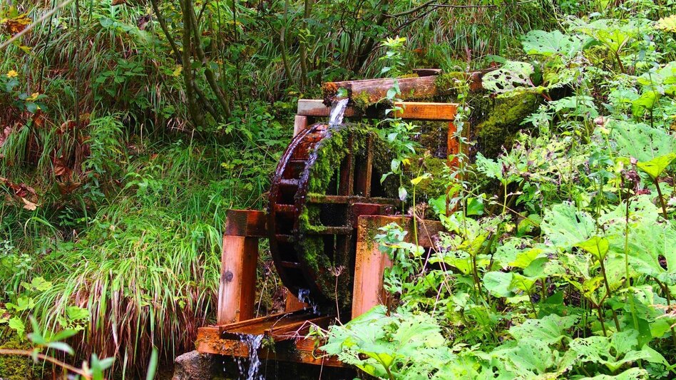 Hiking route Marienklamm in Tragöß - Touren-Impression #2.2 | © FVV  Tragöß - St. Katharein
