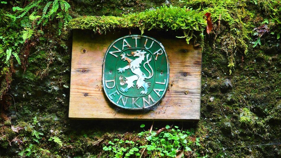 Hiking route Marienklamm in Tragöß - Touren-Impression #2.7 | © FVV  Tragöß - St. Katharein