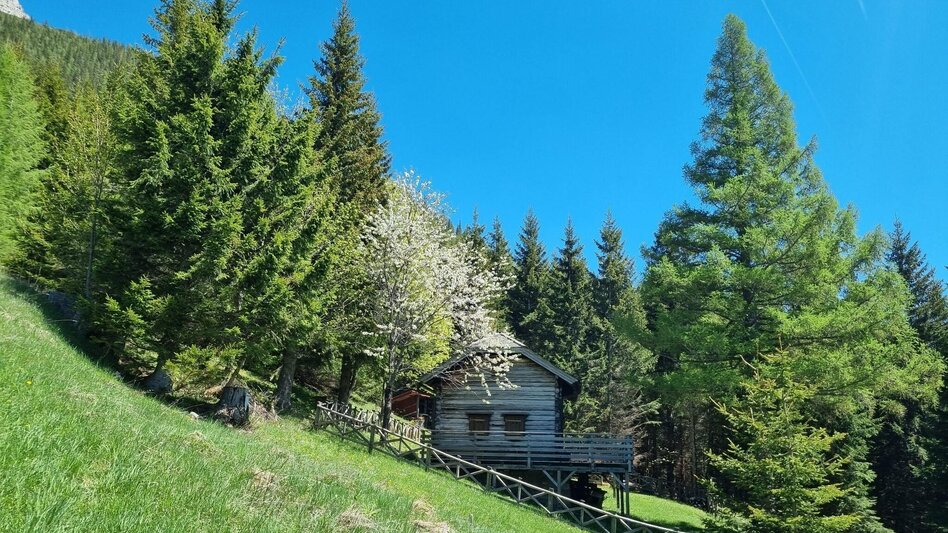Mountain Hike Karreralmgrat to the Rax in the Mürzer Oberland Nature Park - Touren-Impression #2.1 | © TV Hochsteiermark