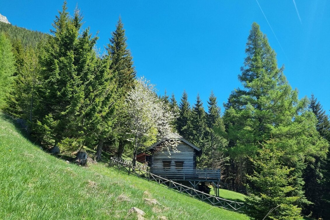 Mountain Hike Karreralmgrat to the Rax in the Mürzer Oberland Nature Park - Touren-Impression #1 | © TV Hochsteiermark