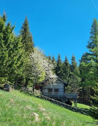 Jahnhütte (unbew.) | Andreas Steininger | © TV Hochsteiermark