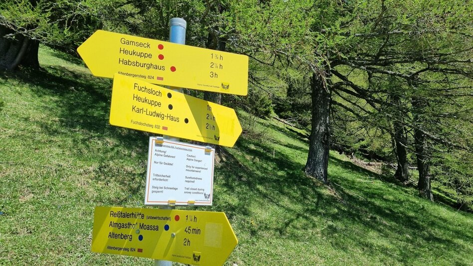 Mountain Hike Karreralmgrat to the Rax in the Mürzer Oberland Nature Park - Touren-Impression #2.4 | © TV Hochsteiermark