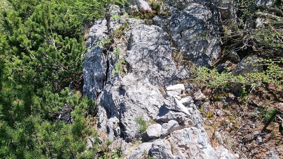 Mountain Hike Karreralmgrat to the Rax in the Mürzer Oberland Nature Park - Touren-Impression #2.5 | © TV Hochsteiermark