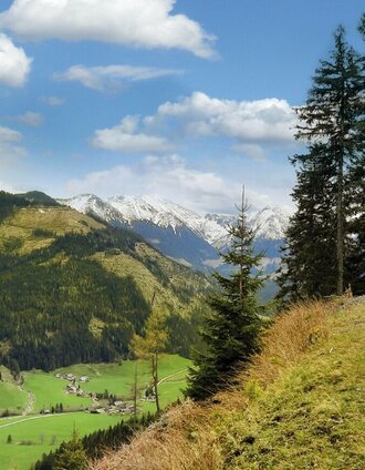 Hoch über dem Triebental | Guenter Lanz | © Erlebnisregion Murtal