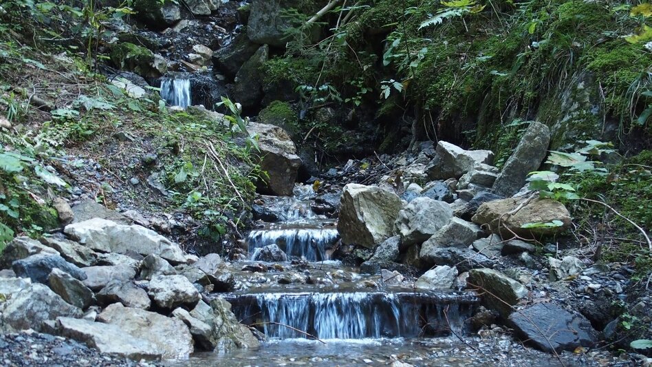 Hiking route Lieglsteig - Touren-Impression #2.3 | © FVV  Tragöß - St. Katharein