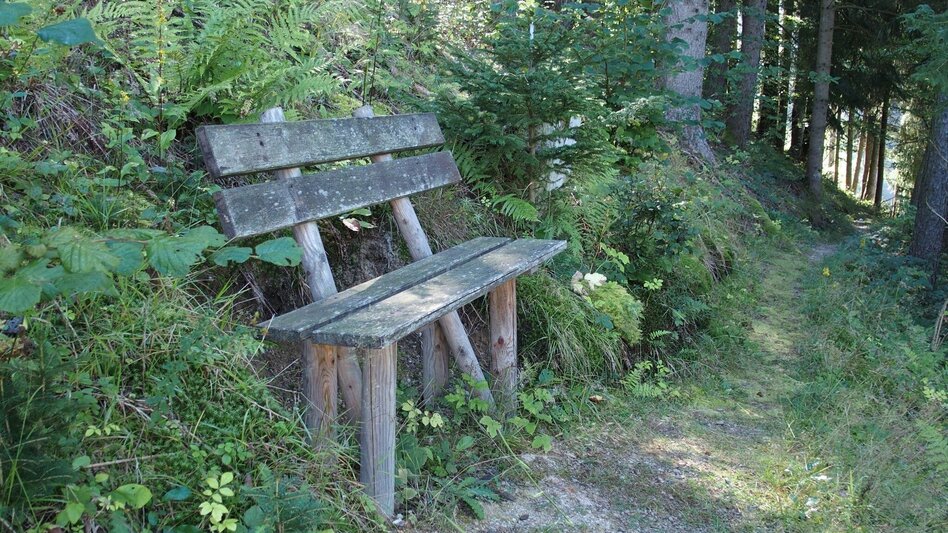 Hiking route Lieglsteig - Touren-Impression #2.7 | © FVV  Tragöß - St. Katharein