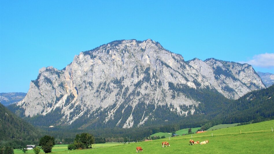 Hiking route Lieglsteig - Touren-Impression #2.8 | © FVV  Tragöß - St. Katharein