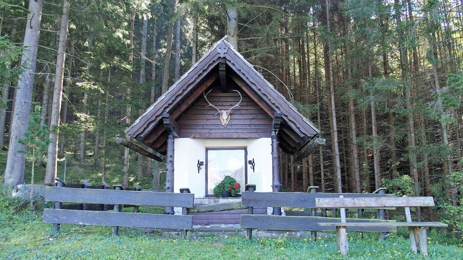 Hiking route Lieglsteig - Touren-Impression #2.9 | © FVV  Tragöß - St. Katharein