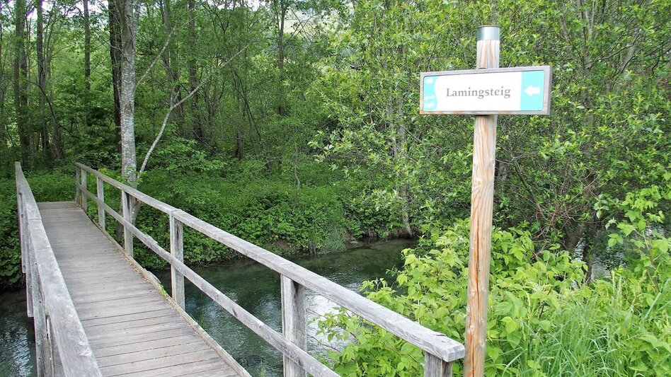 Hiking route Lamingsteig - Touren-Impression #2.1 | © FVV  Tragöß - St. Katharein