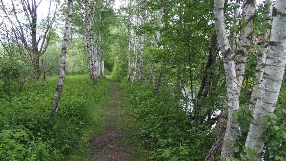 Hiking route Lamingsteig - Touren-Impression #2.2 | © FVV  Tragöß - St. Katharein