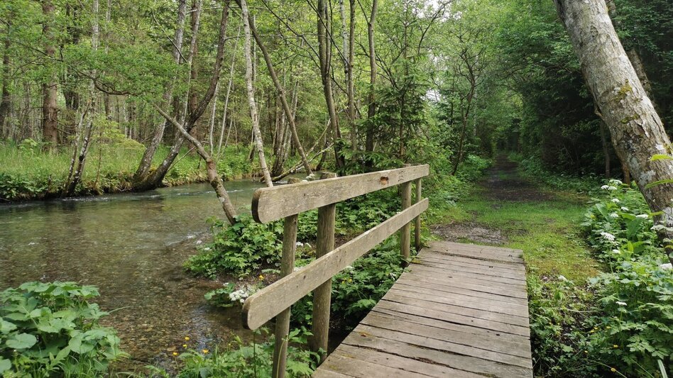 Hiking route Lamingsteig - Touren-Impression #2.3 | © FVV  Tragöß - St. Katharein