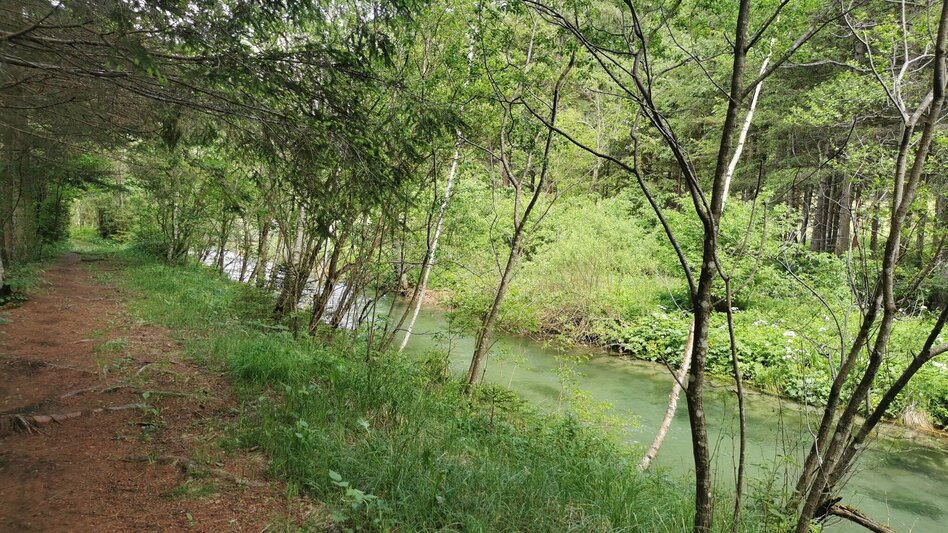 Hiking route Lamingsteig - Touren-Impression #2.5 | © FVV  Tragöß - St. Katharein