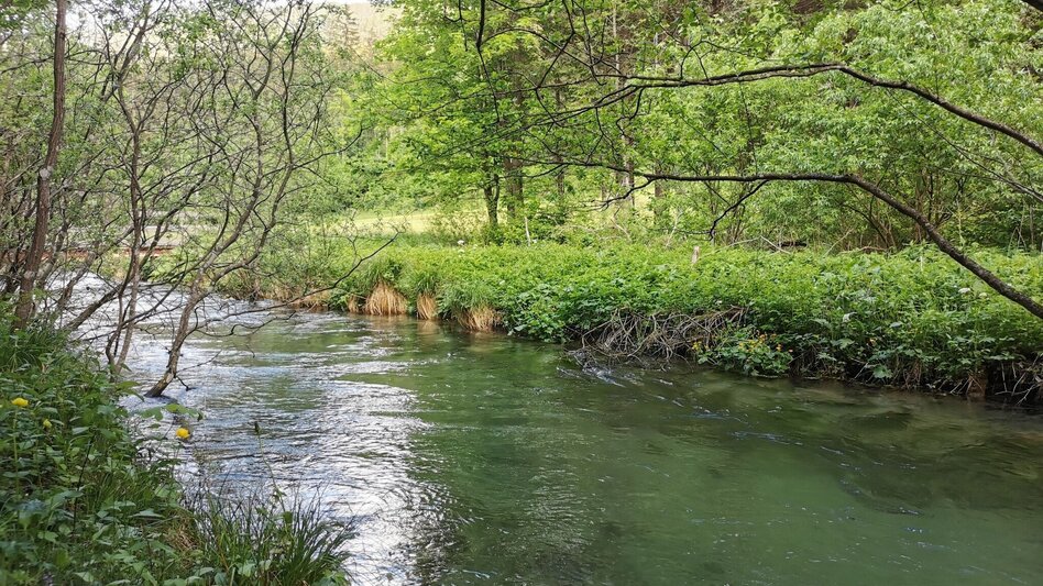 Hiking route Lamingsteig - Touren-Impression #2.6 | © FVV  Tragöß - St. Katharein