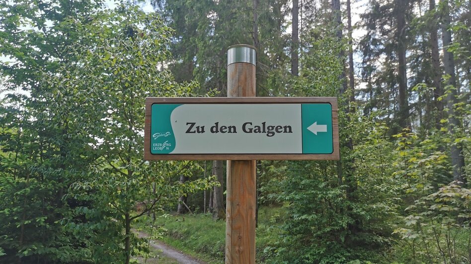 Hiking route Lamingsteig - Touren-Impression #2.7 | © FVV  Tragöß - St. Katharein