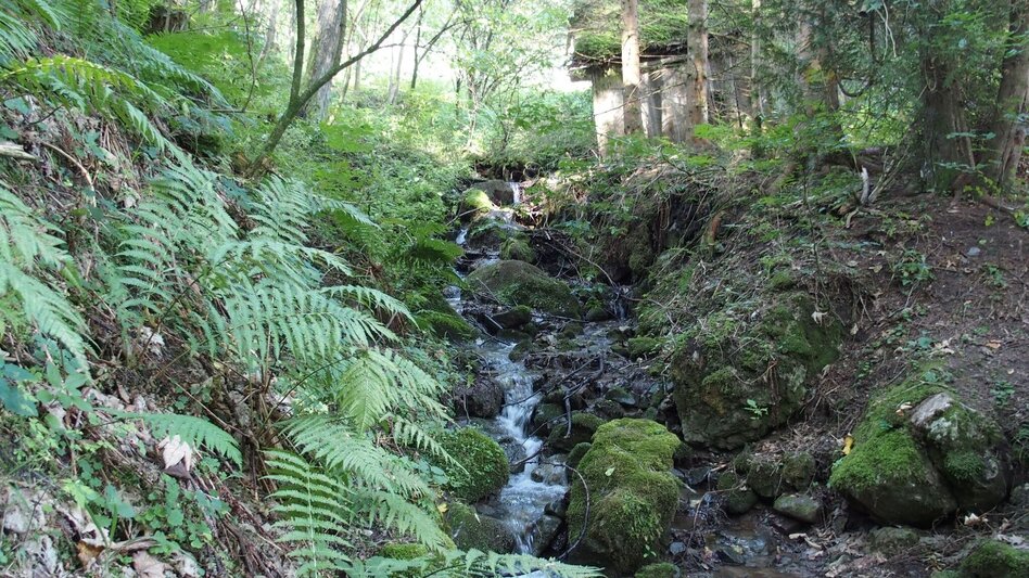 Wanderung Tuffweg - Touren-Impression #2.4 | © FVV  Tragöß - St. Katharein