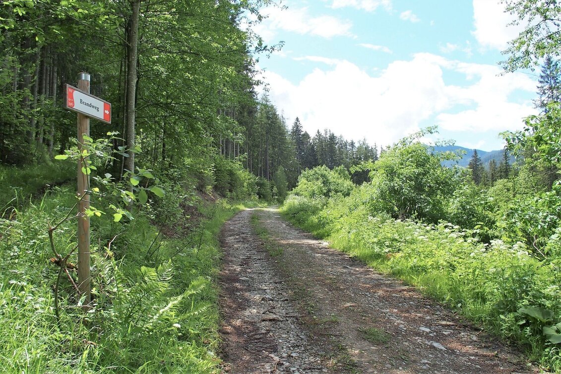 Wanderung Brandweg - Touren-Impression #1 | © FVV  Tragöß - St. Katharein