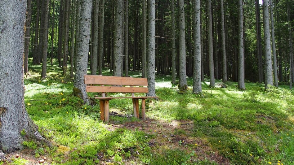 Wanderung Brandweg - Touren-Impression #2.2 | © FVV  Tragöß - St. Katharein
