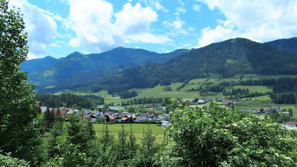 Wanderung Brandweg - Touren-Impression #2.4 | © FVV  Tragöß - St. Katharein