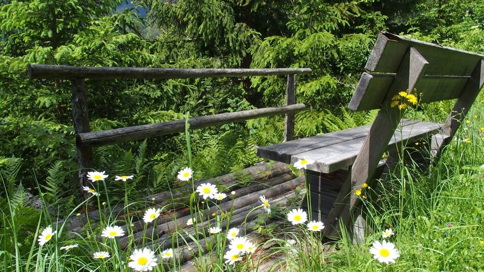 Wanderung Brandweg - Touren-Impression #2.5 | © FVV  Tragöß - St. Katharein