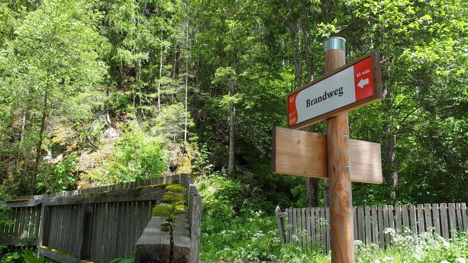 Wanderung Brandweg - Touren-Impression #2.6 | © FVV  Tragöß - St. Katharein