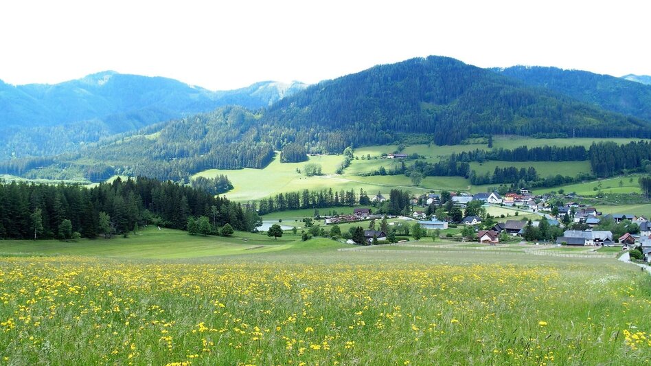 Wanderung Brandweg - Touren-Impression #2.7 | © FVV  Tragöß - St. Katharein