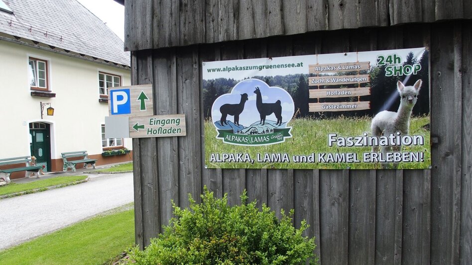 Wanderung Brandweg - Touren-Impression #2.8 | © FVV  Tragöß - St. Katharein