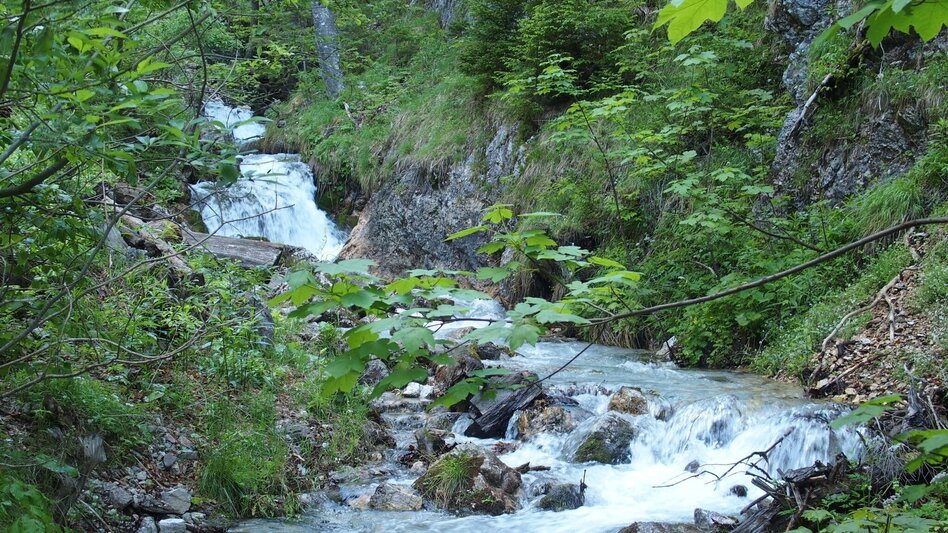 Hiking route Klamm - Touren-Impression #2.7 | © Tourismusverband ERZBERG LEOBEN