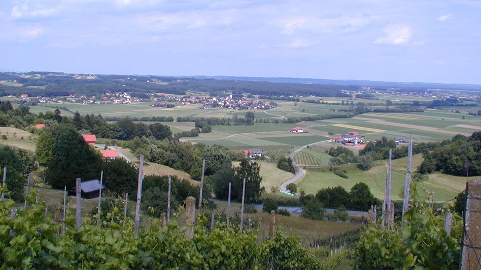 Hiking route Vineyard tour (Weinbergtour Söchau) - Touren-Impression #2.2 | © Werner Steinberger
