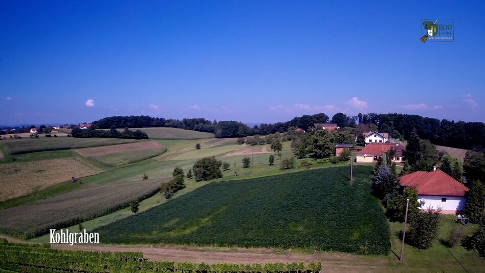 Hiking route Vineyard tour (Weinbergtour Söchau) - Touren-Impression #2.4 | © Gemeinde Söchau